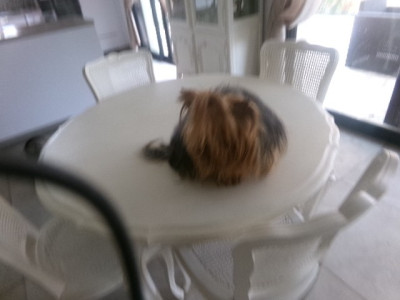 Toffee des Trésors de Mélina