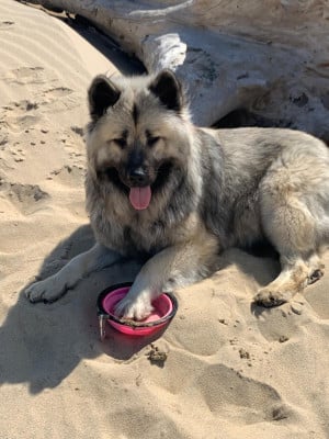 Uricane Des Hauts De Chamboursat