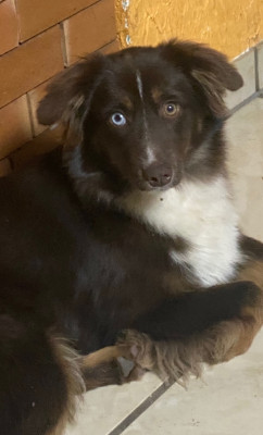 Usambara Du Règne De Malaudrea