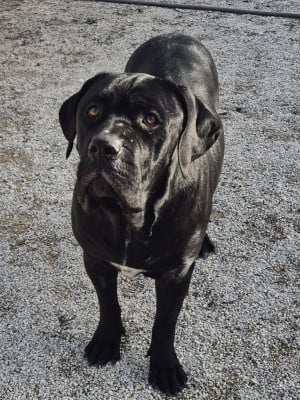 V'OLYMPE Des Seigneurs De Sparte