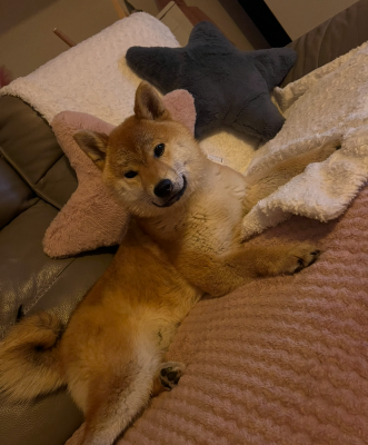 URBAINE De La Source Des Rochettes