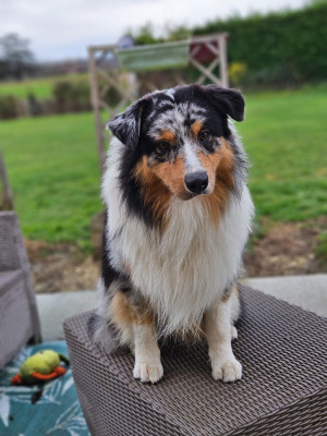 image de VVILDWEST ZION