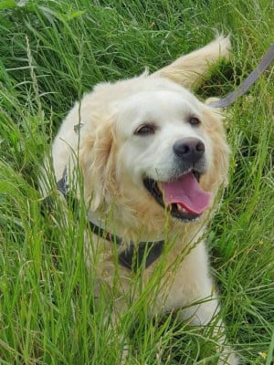 image de Tahiti de la Source du Riet Veld