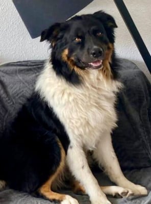 Paco For The Memory Of Mandy