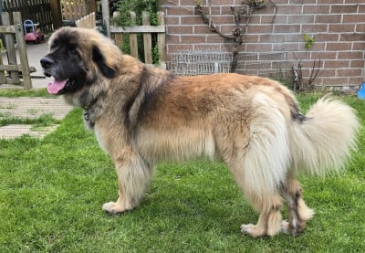 image de Verycute Vanille