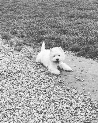 une touche de magie just for me