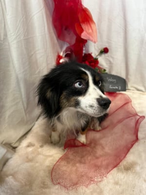 U ARE ON MY WAY de la rivière des Aulnes