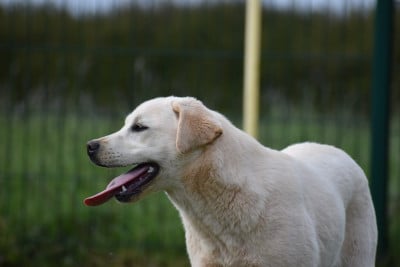 Tina Des bories de yakoubia