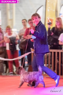 ONCE UPON A BEAUTYFULL GIRL de la terrardiere