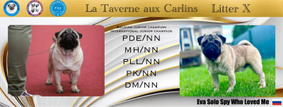 Étalon Carlin - eva solo Spy Who loved me