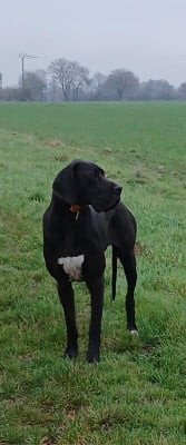 voxie Des Gardiens De Prailles