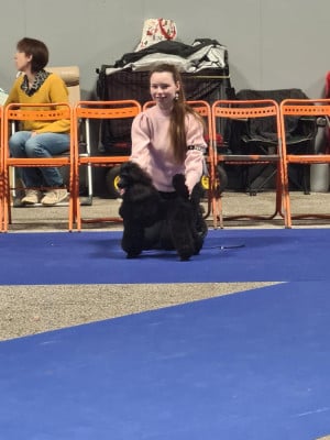 Raven Francuzsky bozk