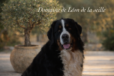 UNE CO PILOTE du Domaine De Léon De La Seille