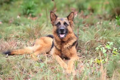 Thabana de la source du Montet