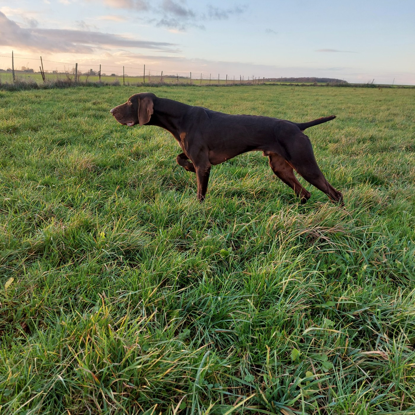 Publication : Of Gaïa's Spirit