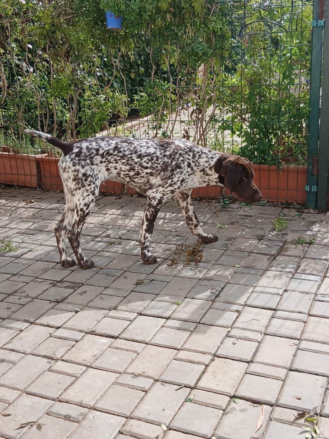 Publication : Des Sources D'asni Auteur : DES SOURCES D'ASNI