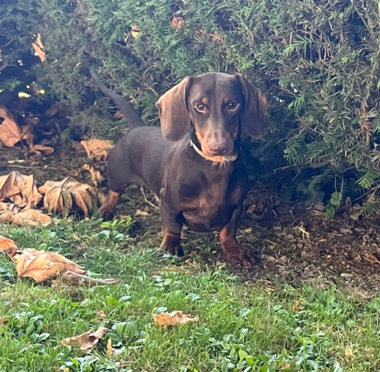 Publication : in the Purple Moon Auteur : Garcia Emilie