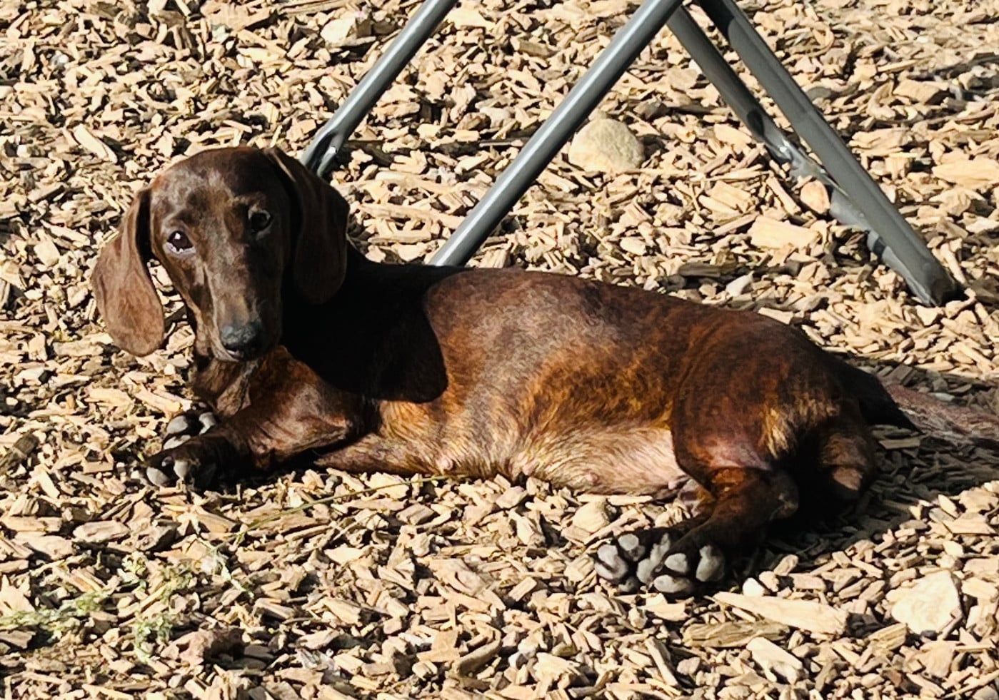 Publication : in the Purple Moon Auteur : Garcia Emilie