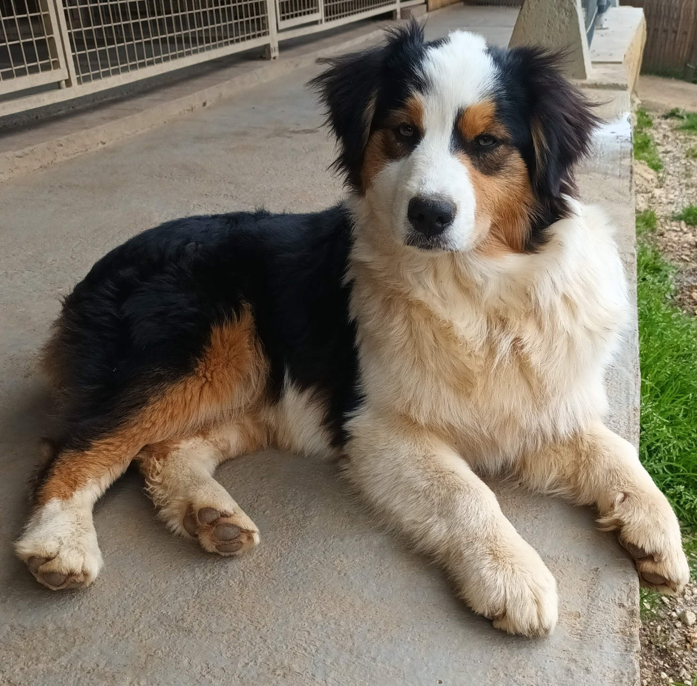 Publication : De L'eden D'orches Auteur : Nella