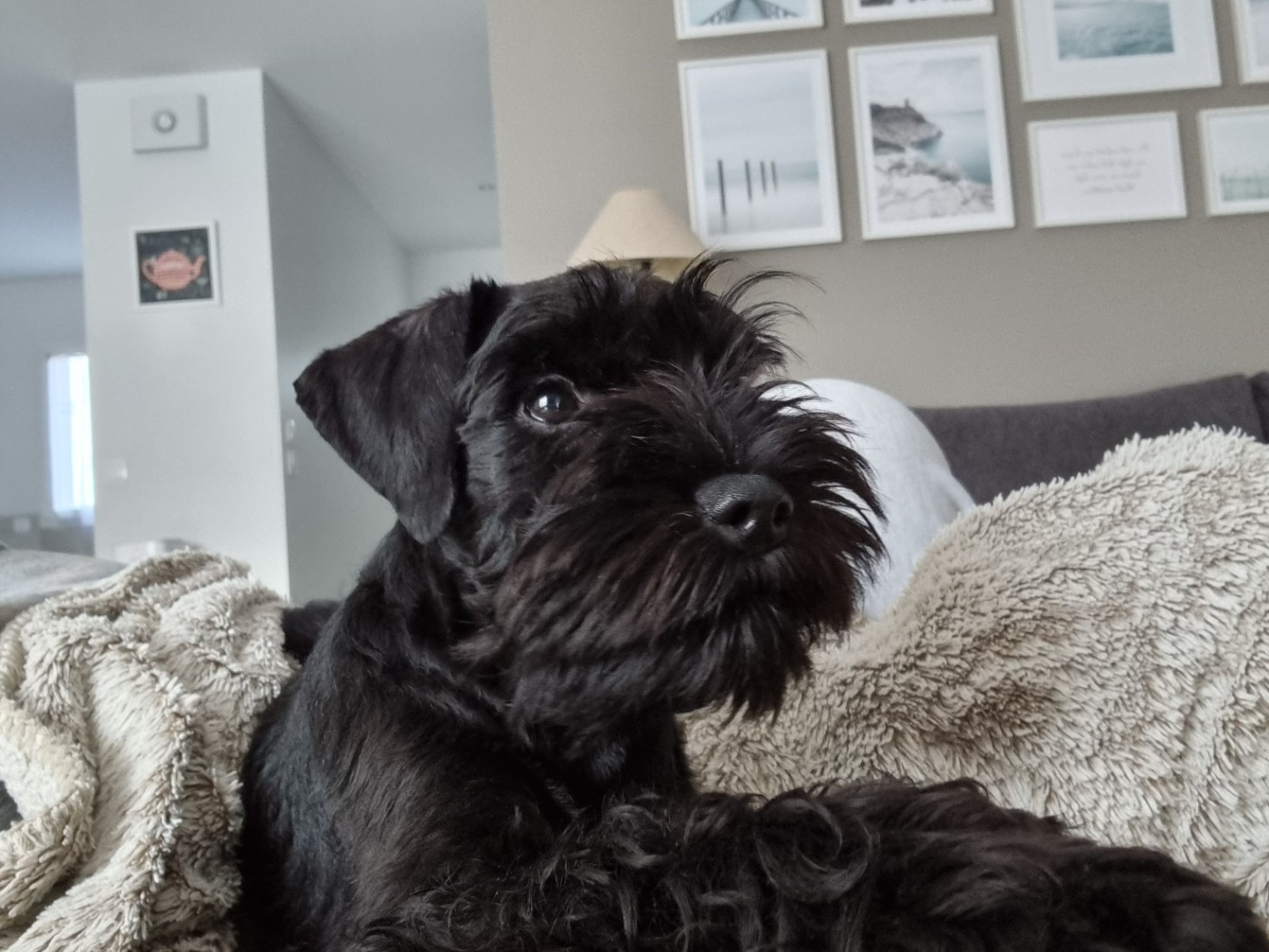 Publication : May in black 