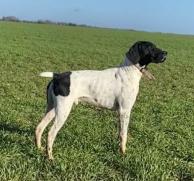 Publication : Du Reflet D’Ithildin