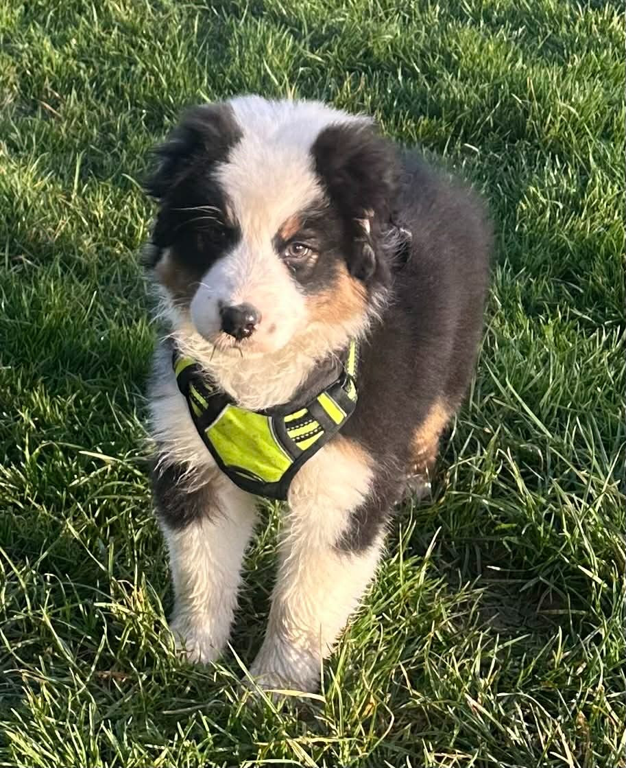 Publication : de la Forge Rebelle