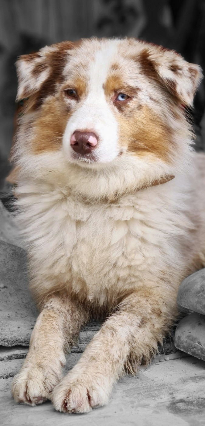 Publication : (Sans Affixe) 