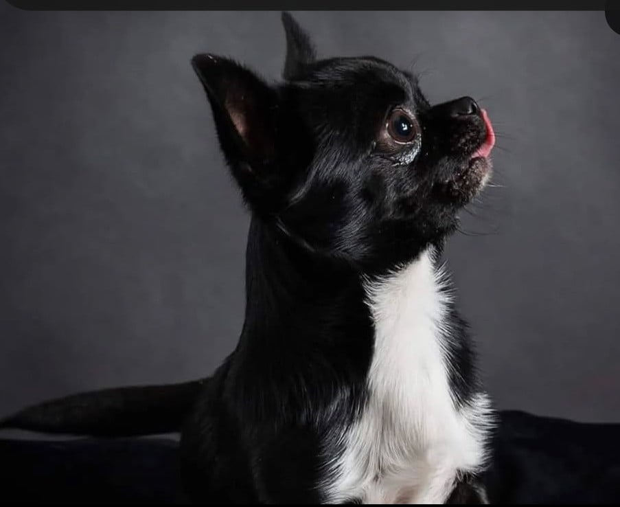 Publication : Poppy-Mini-Land 