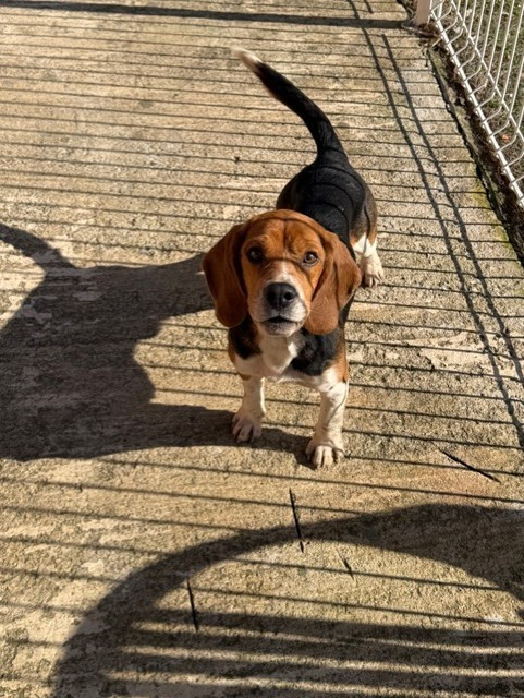 Publication : Des Hauts De Milhac