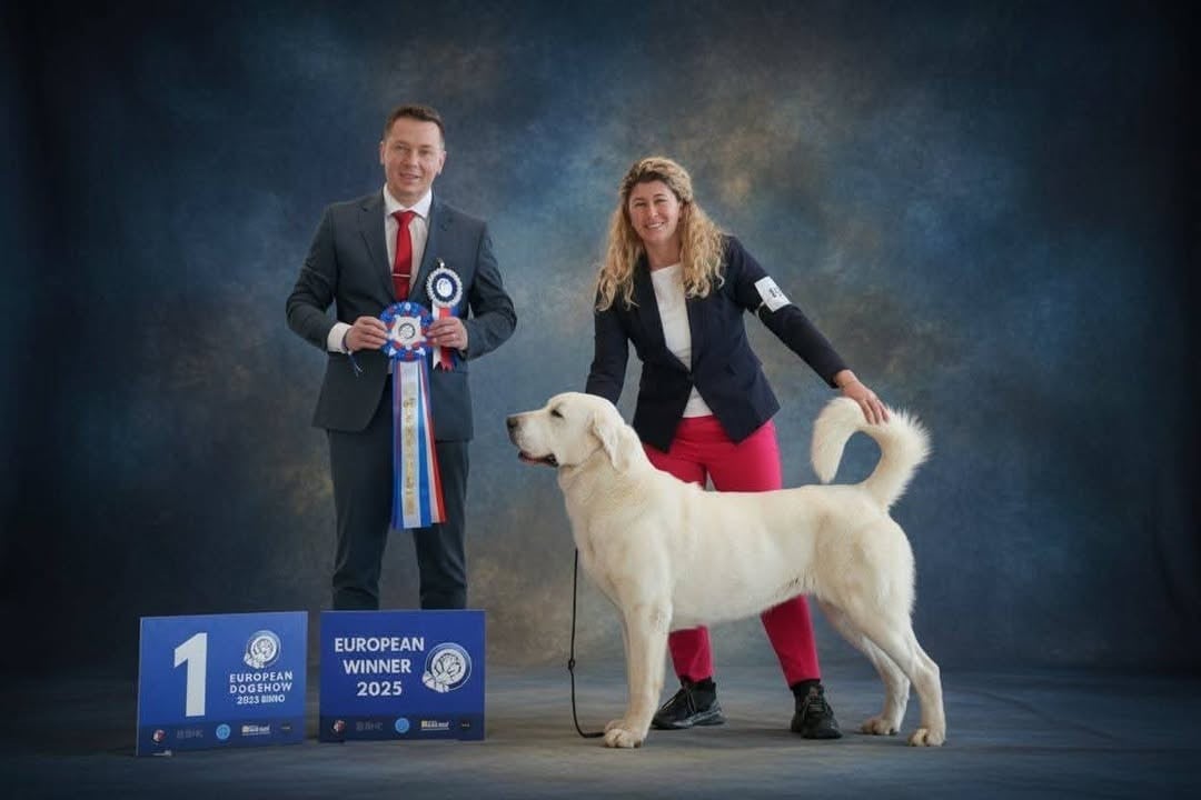 CH. Ghana yasira alabai