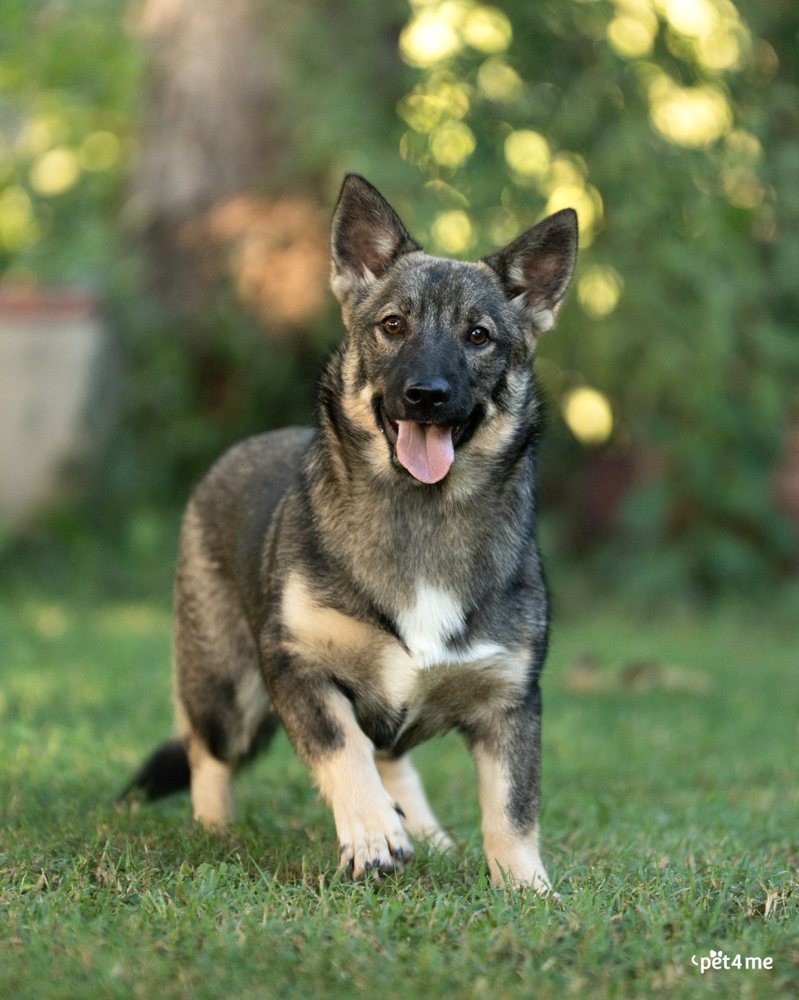 Publication : Du Mas Des Oiseaux 