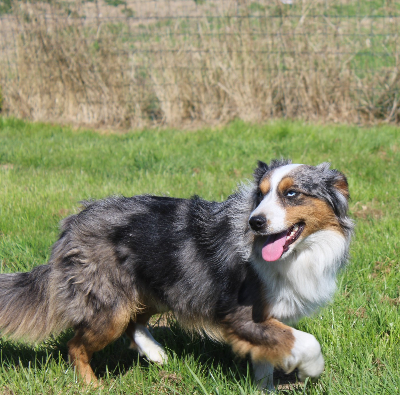 Publication : (Sans Affixe) 