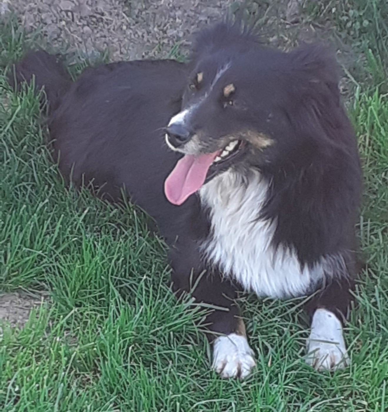 Publication : (Sans Affixe) 