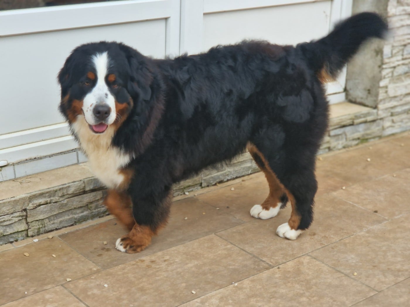 Vaguera De La Coustille Ouest