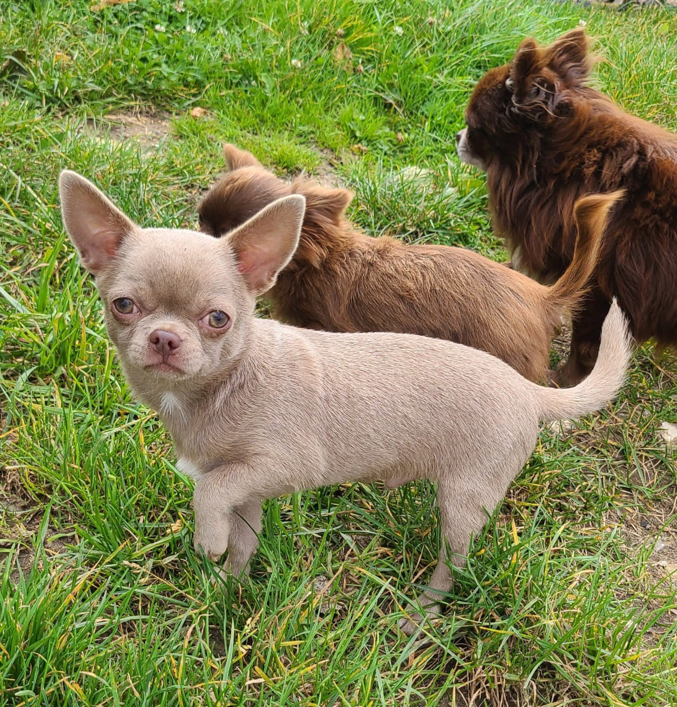 Publication : (Sans Affixe) 