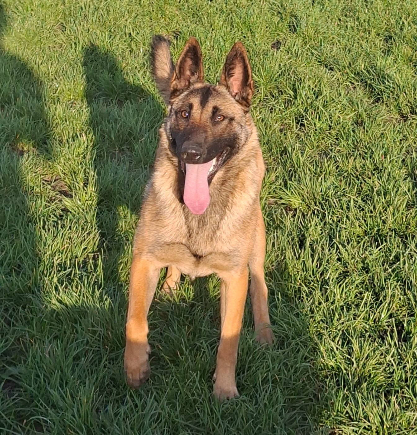 Publication : de la vallée du grand loup 