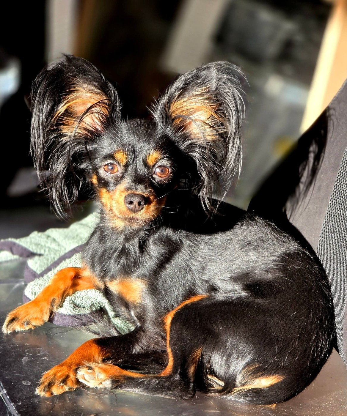 Publication : Poupee Russe 