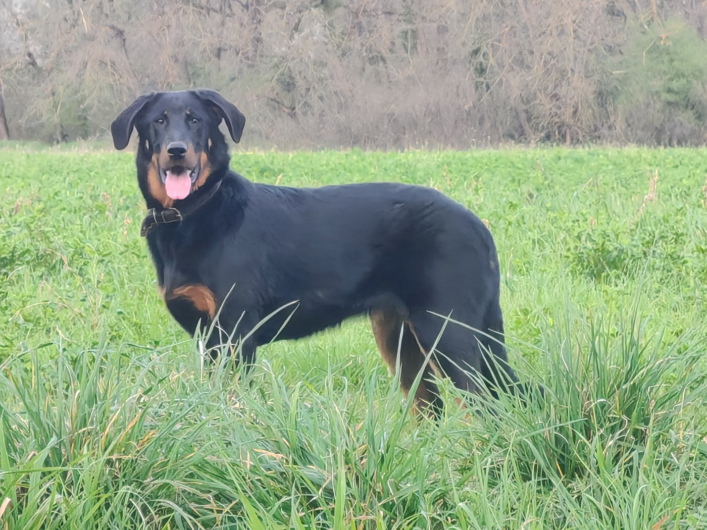 Publication : Du Domaine De Bartery 