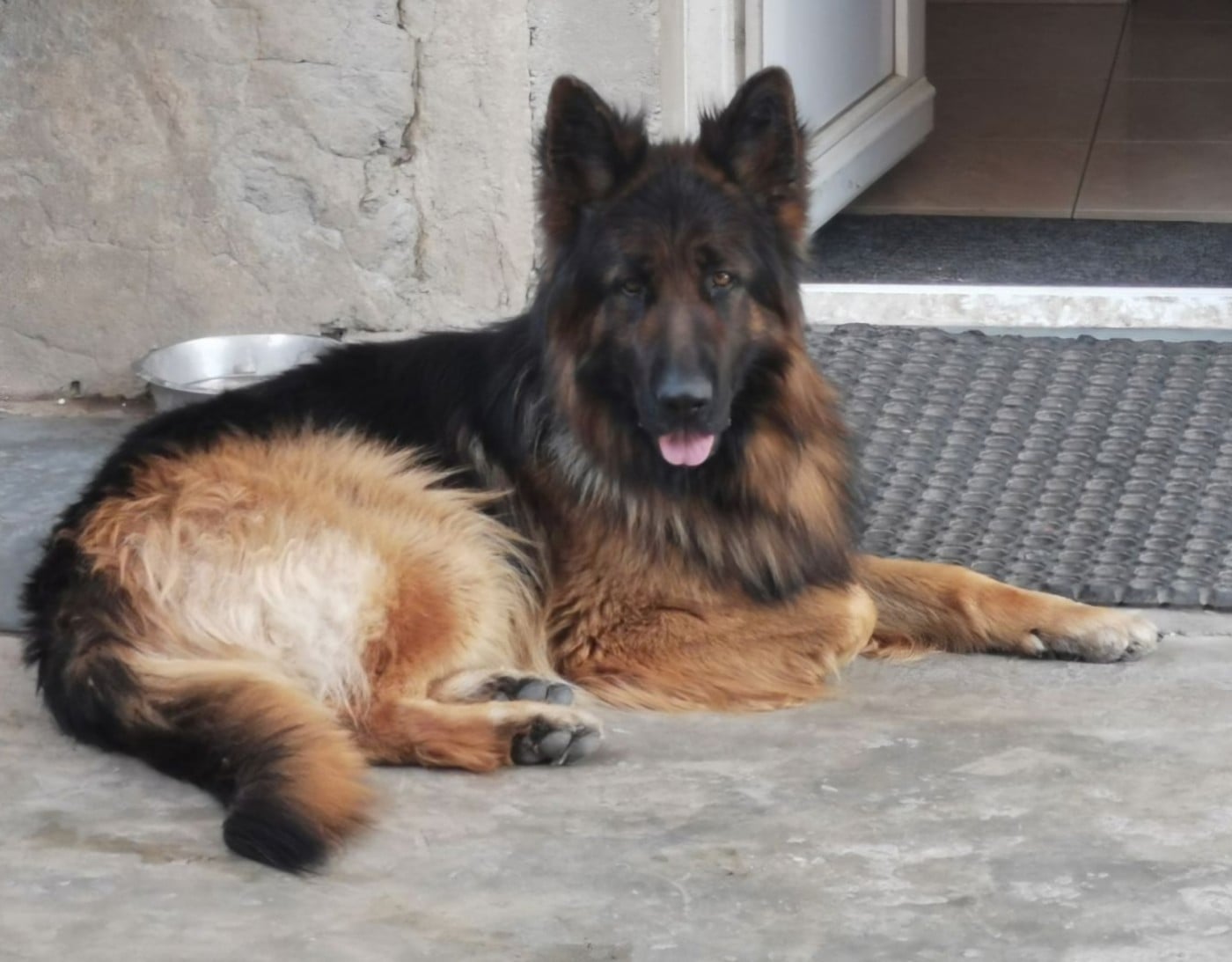 Publication : Des Bergers Des Balmes Auteur : Emilie