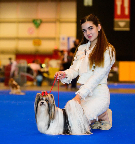 CH. oshatosha Beric Dondarrion