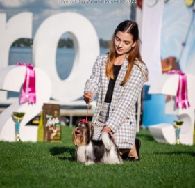 CH. oshatosha PRANPRIYA LALISA MANOBAN