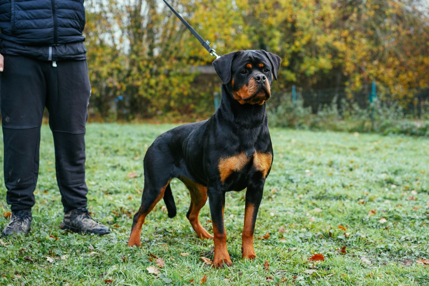 Publication : Von Der Paris Show 