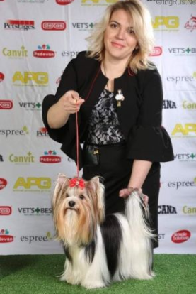 CH. oshatosha Holly Molly Brightly Star