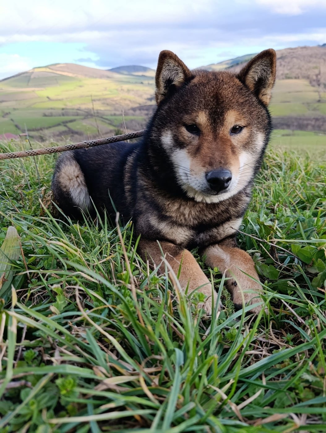 Publication : Du Domaine Louchine 