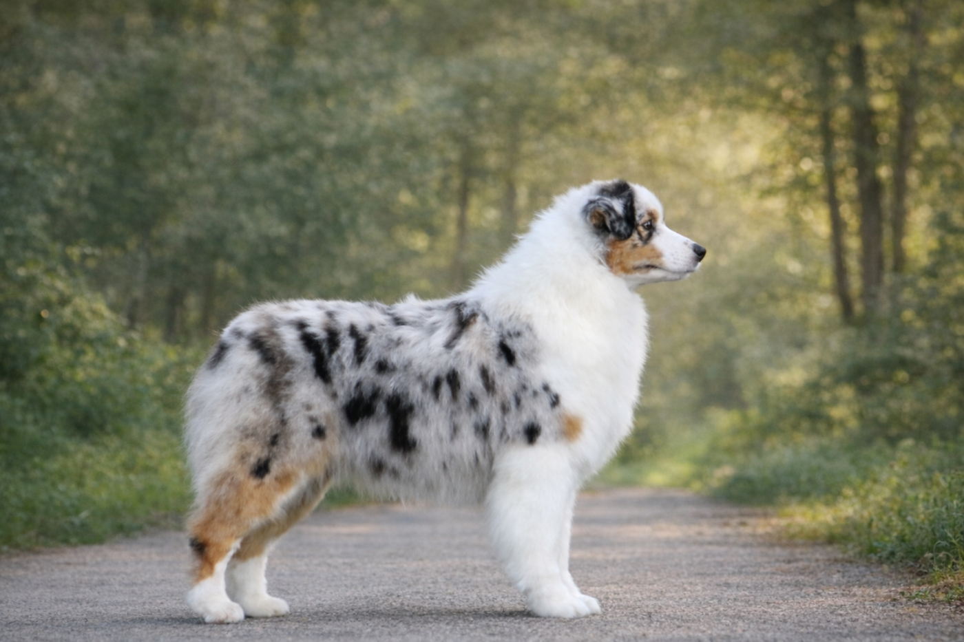 Publication : des Terres De Khairyaca 