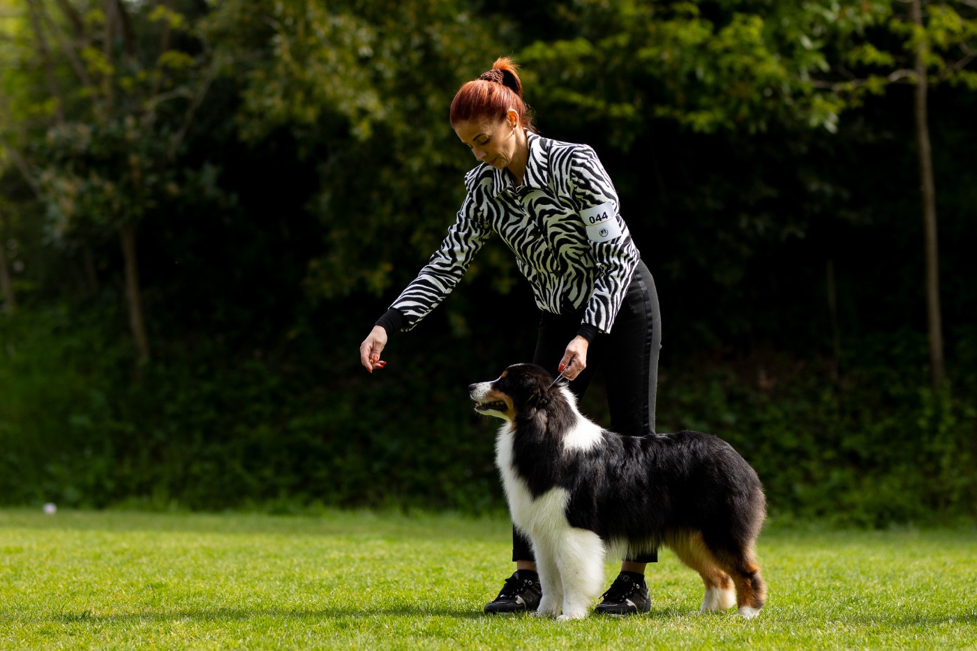 Publication : des Terres De Khairyaca 