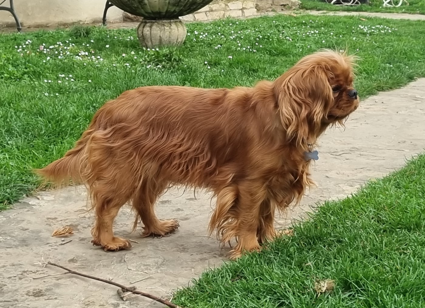 Publication : du Mont des Lauzes 