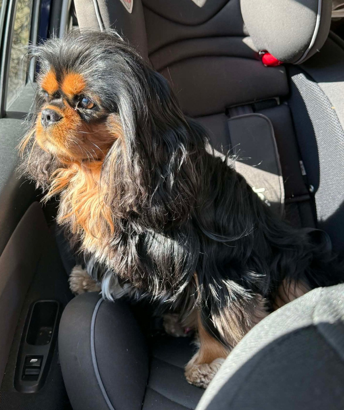 Publication : du Mont des Lauzes 