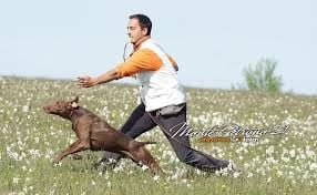 CH. BRAK Della chiusa