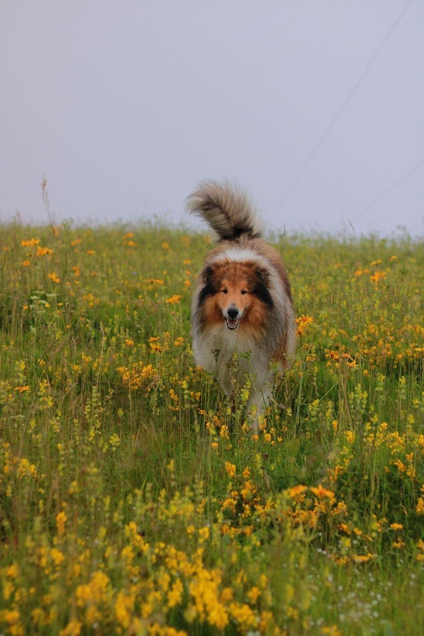 Publication : Bettina Prigent 